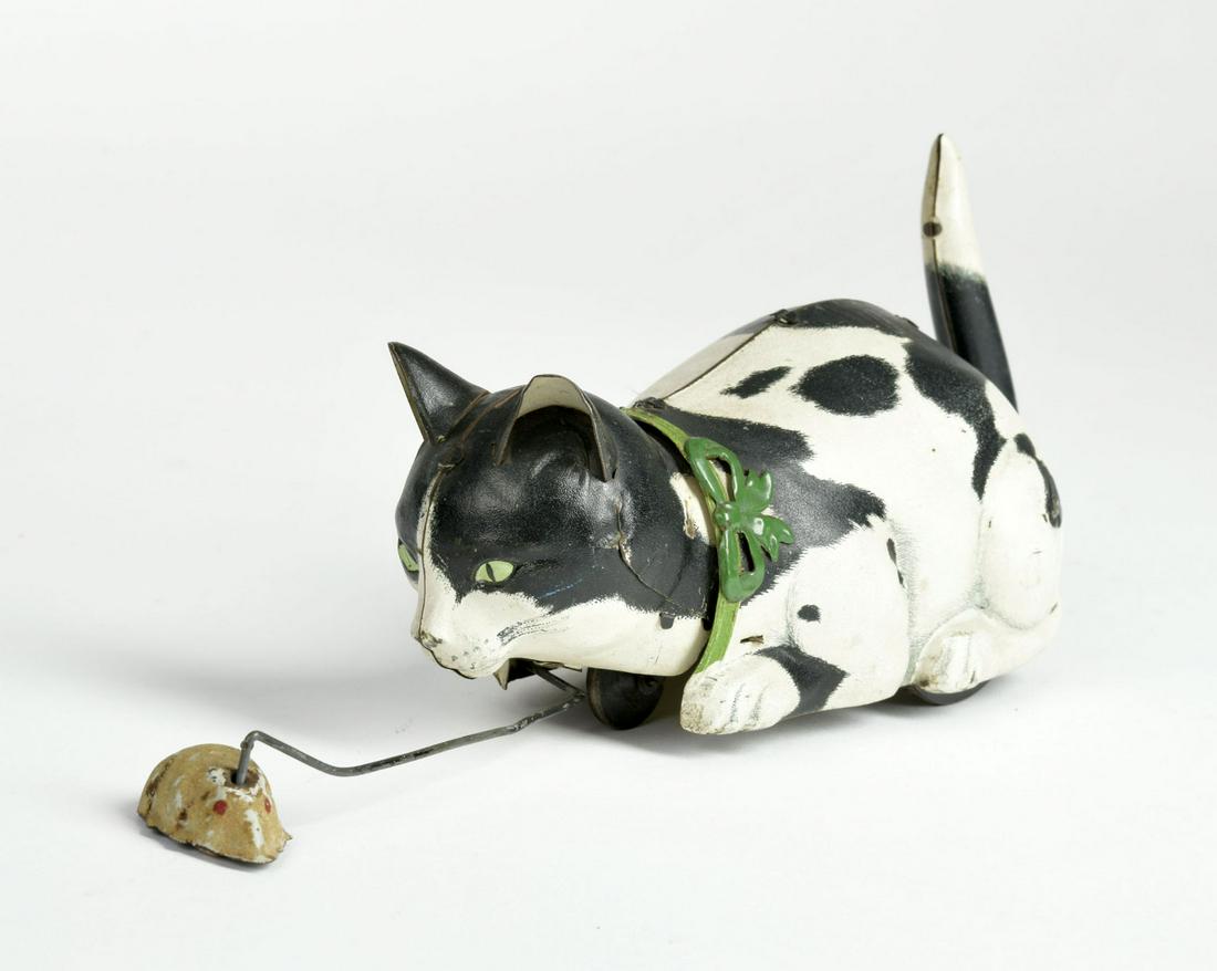 Lehmann, Katze Nina (1 of 3)