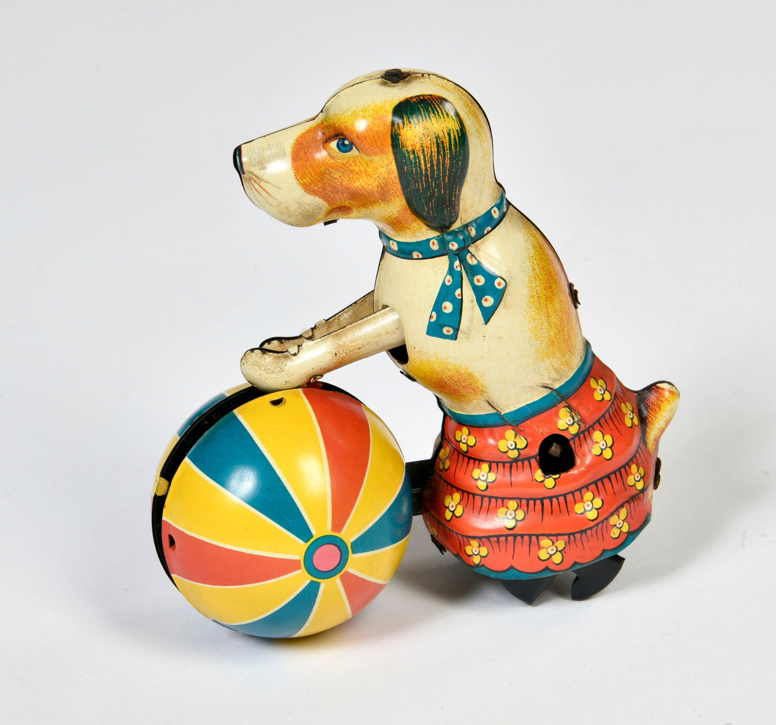 NBN, Hund mit Ball (1 of 2)