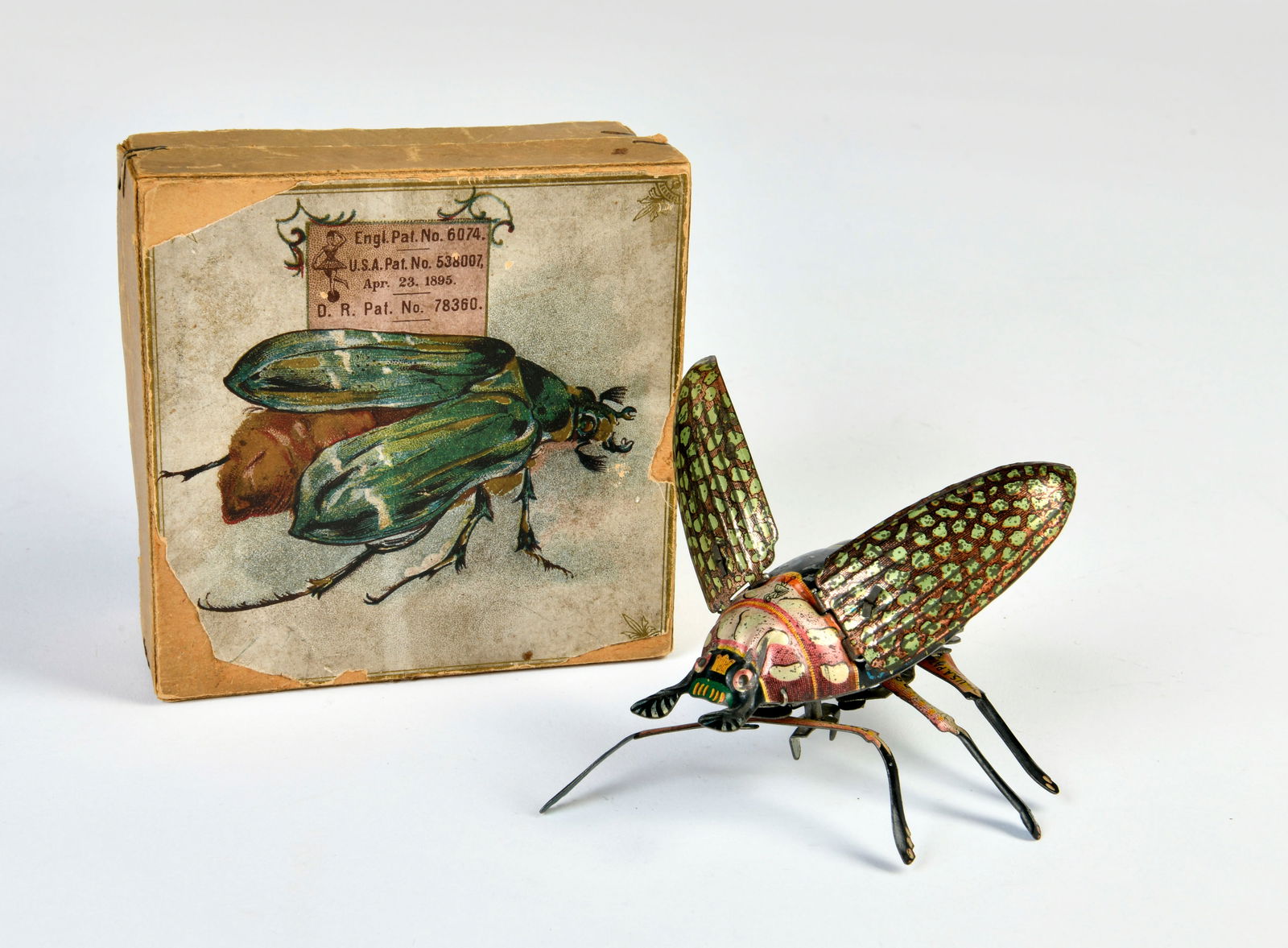 Carl Adam / Lehmann, Laufender Kafer (1 of 2)