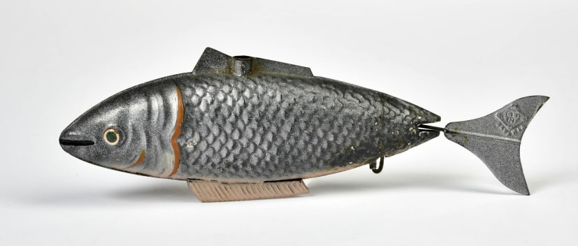 Bing, Fisch (1 of 2)