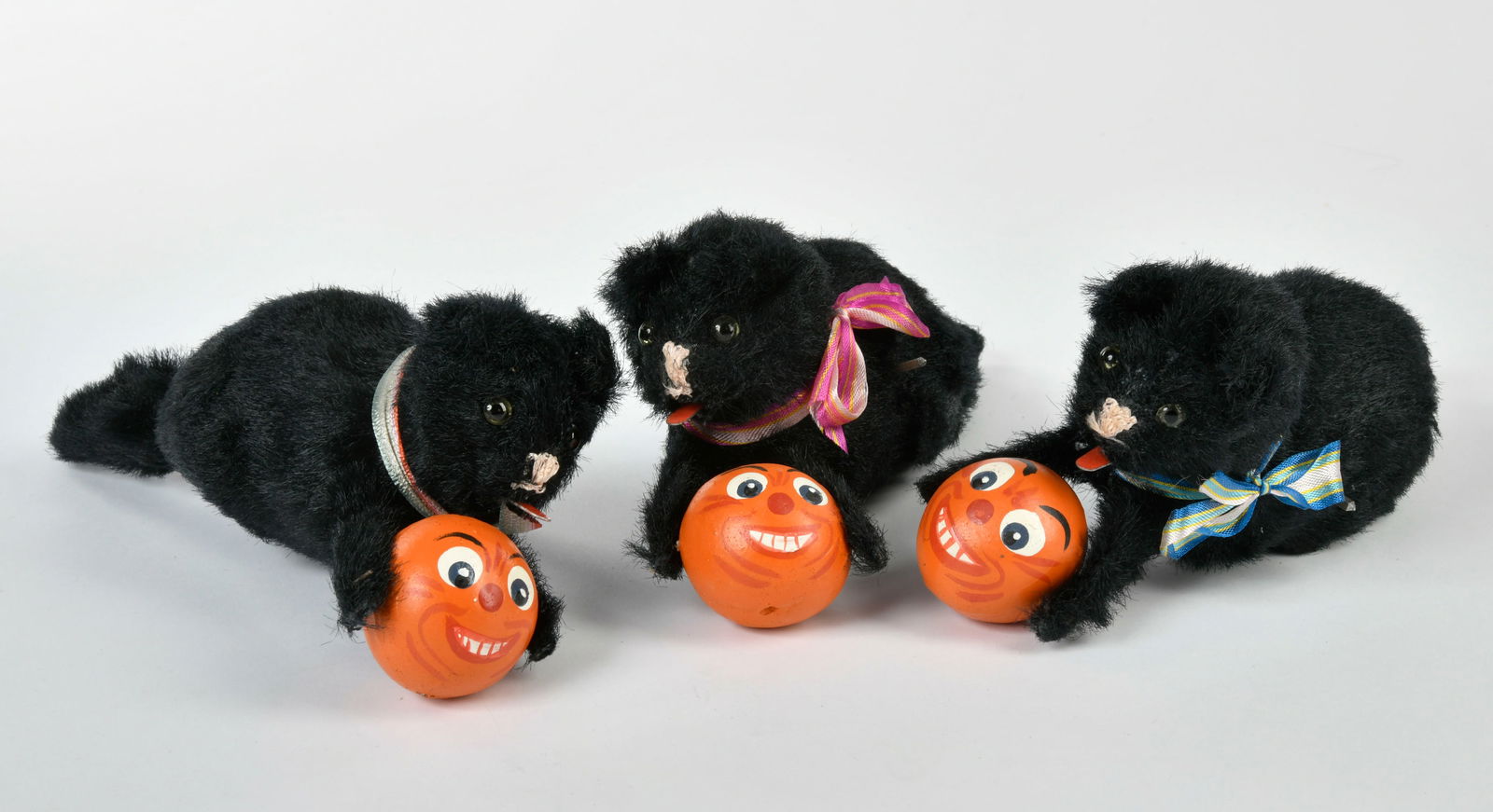 3 Katzen mit Kurbisball (1 of 1)