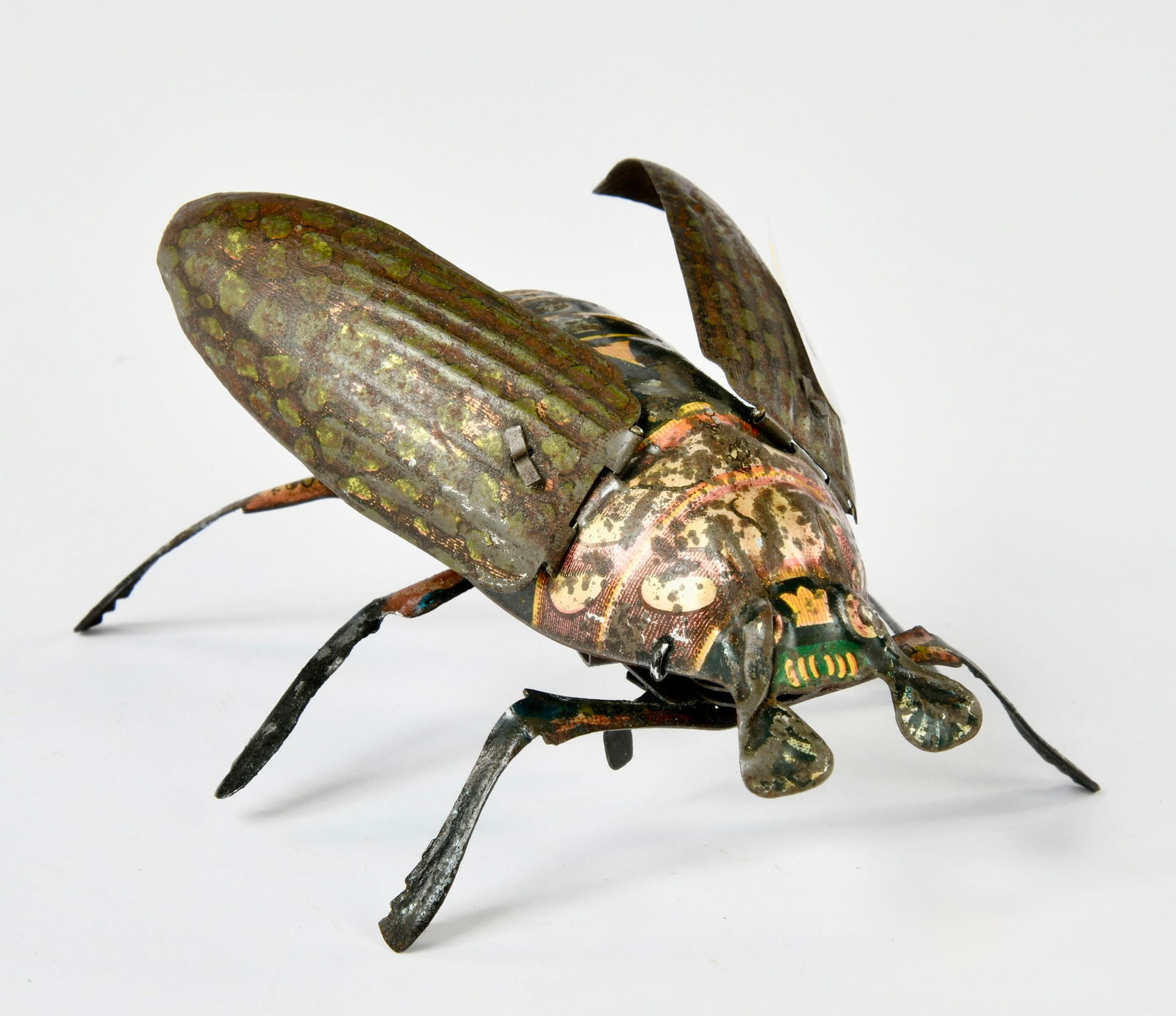 Carl Adam, Kafer (1 of 1)