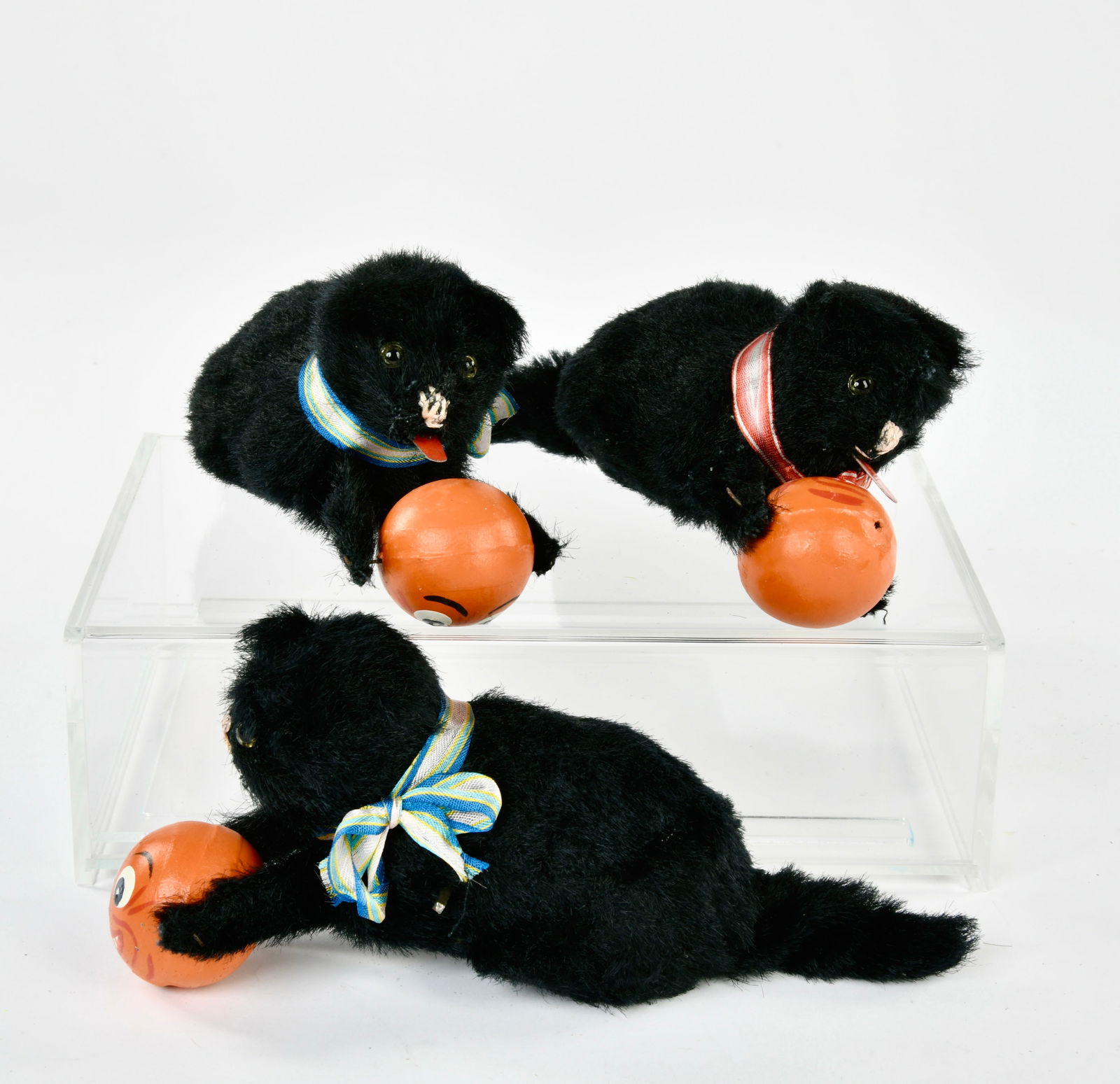 3 Katzen mit Kurbisball (1 of 1)