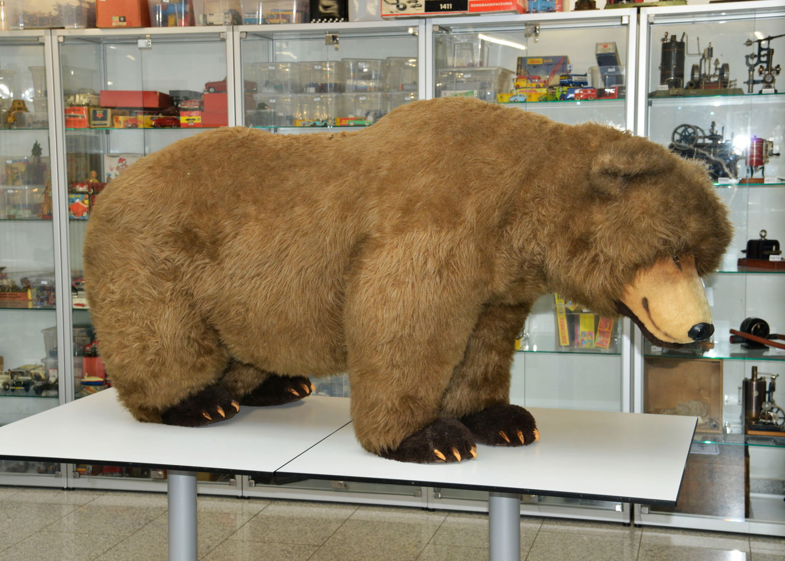 Steiff, Studiotier, Braunbar auf 4 Pfoten: Steiff, Studiotier, Braunbar auf 4 Pfoten, 170 cm, mit Knopf, 1970er Jahre, aus Spielzeugmuseum, abgeliebt, fur Selbstabholer