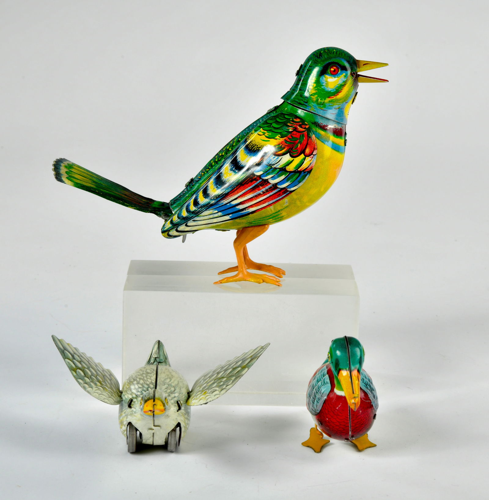 Kohler, Gans, Ente und Singvogel (1 of 1)