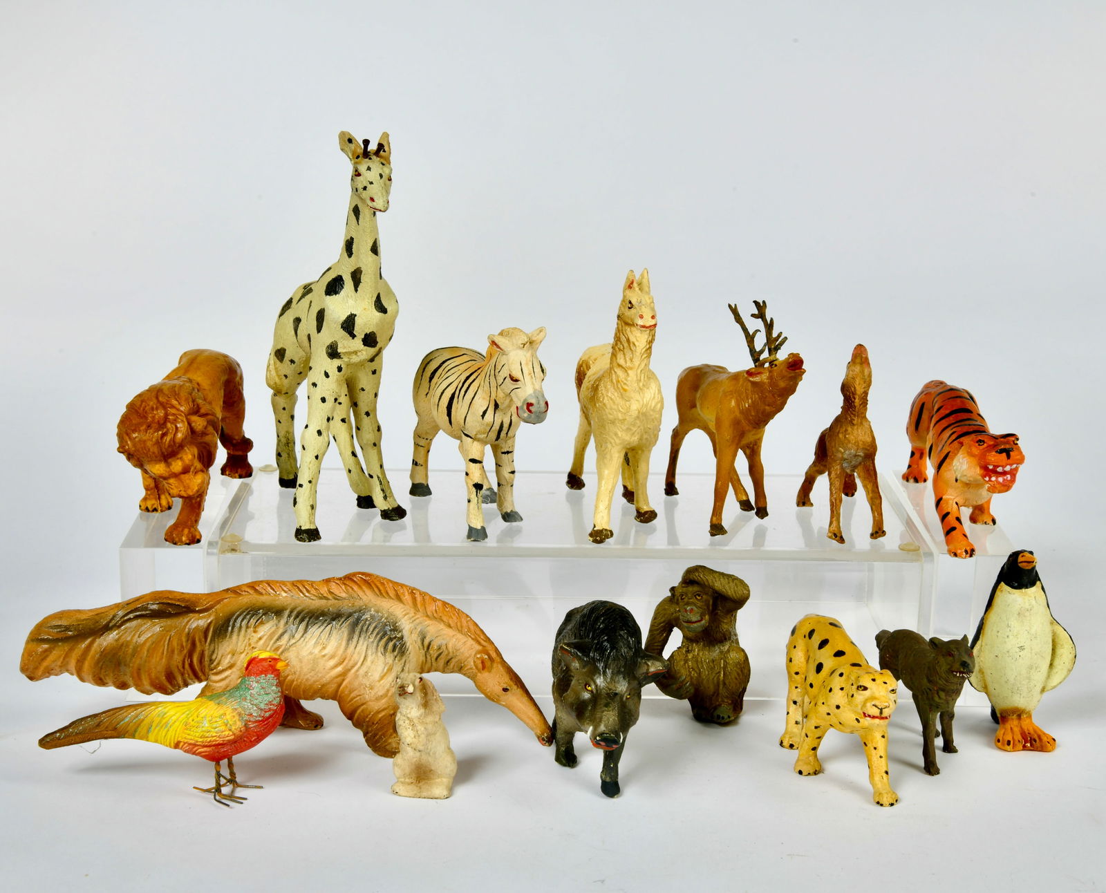 Nardi NF, 15 Tiere (1 of 1)