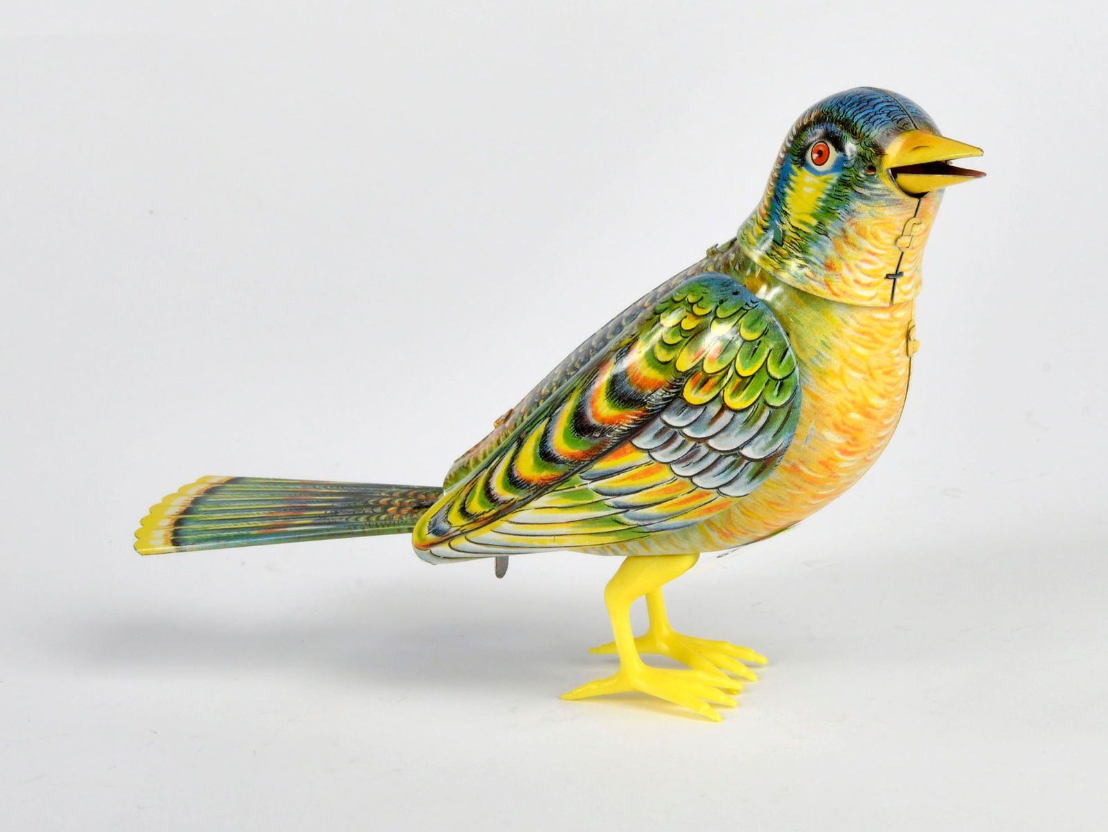 Kohler, Singvogel mit Stimme (1 of 1)