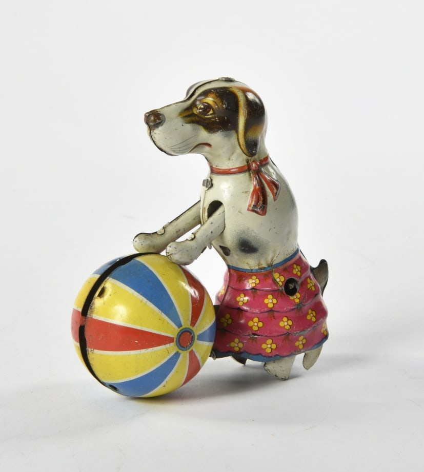 NBN, Hund mit Ball (1 of 1)