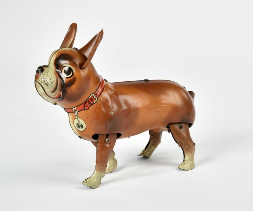 B & S, Hund Bully (1 of 1)