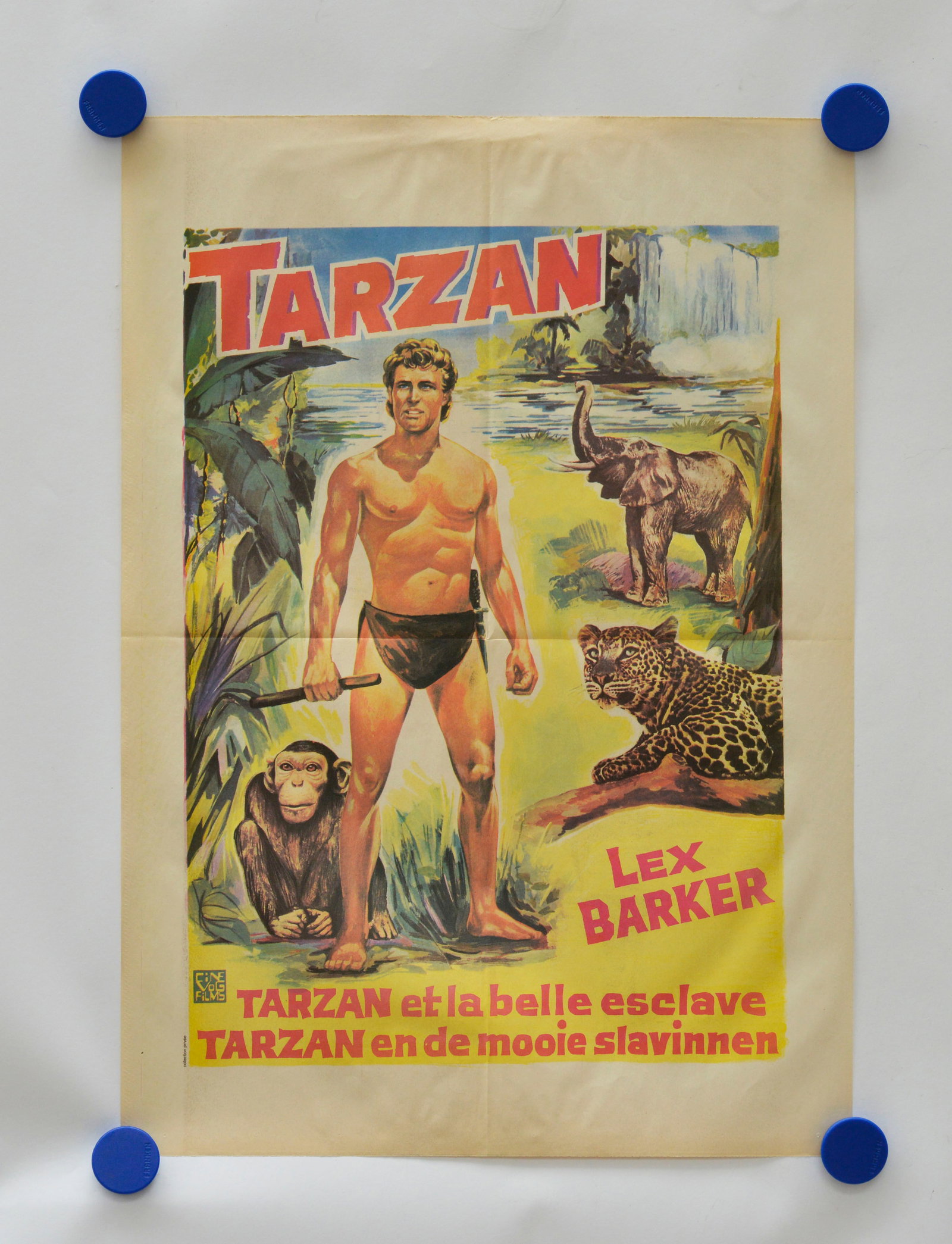 Kino-Plakat, Tarzan - Lex Barker (1 of 1)