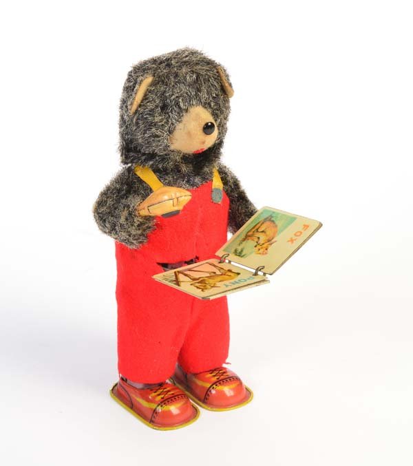 Alps, Baer mit Buch (1 of 1)