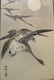 Two Japanese woodblock prints. Ohara Koson, Geese in - 3