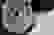 item-91859376=6
