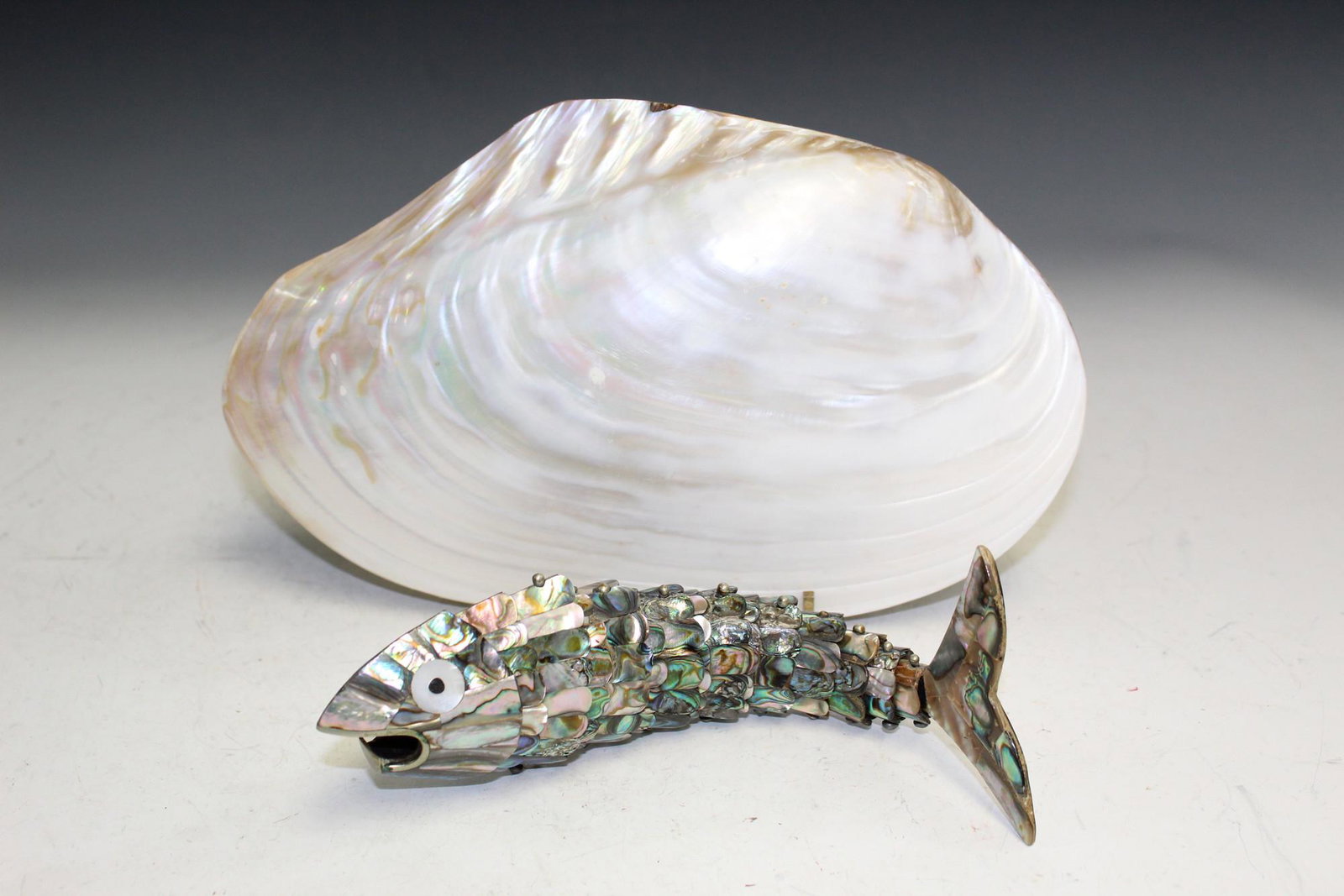Seashell and Mother-of-pearl fish: Seashell and Mother-of-pearl fish. Shell L 25 cm, Fish L 21 cm