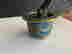 item-118420512=2