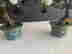 item-118420512=3