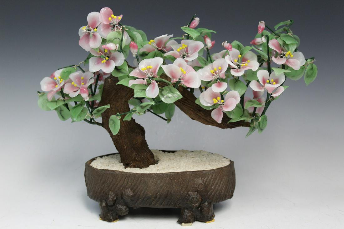 Chinese Bonsai Tree (1 of 4)
