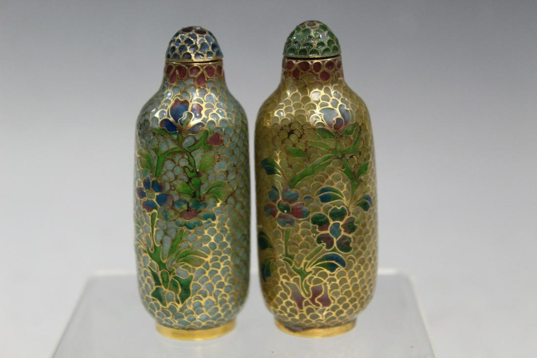 Two Chinese Cloisonne Snuff Bottles (1 of 5)
