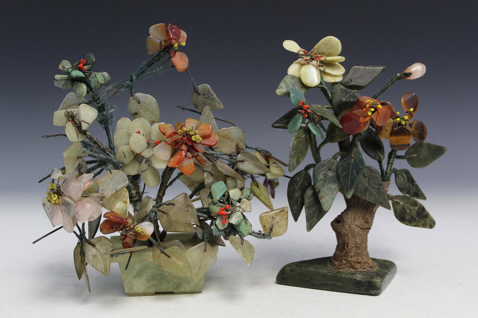 Two Chinese Jade Trees (1 of 5)