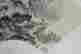 item-131945333=3