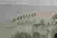 item-131945333=5