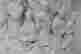 item-137133728=6