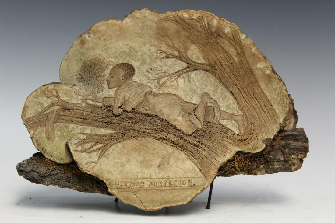 Tree Fungus Art (1 of 7)