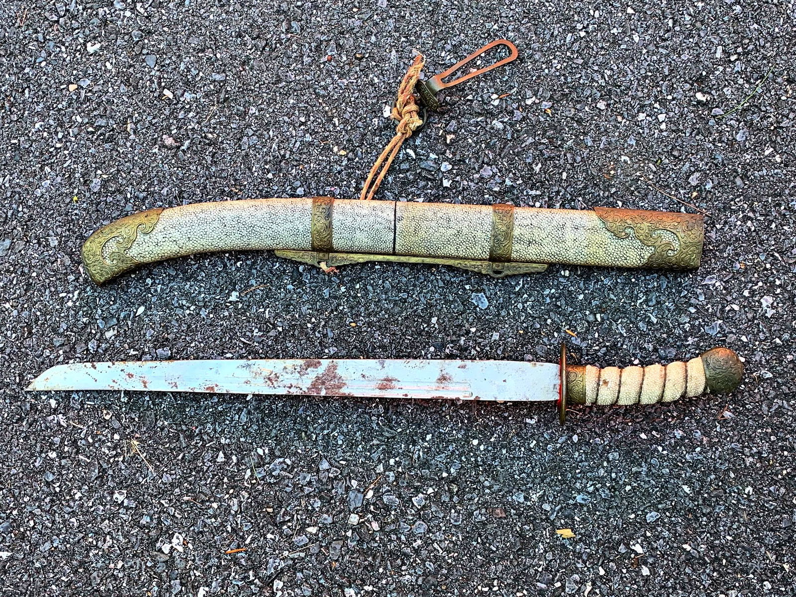 Asian sword with shagreen scabbard. (1 of 8)