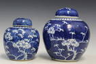 Two Chinese Blue and White Porcelain Jars