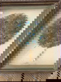 Framed Ventage Chinese Peacock Feather Fan