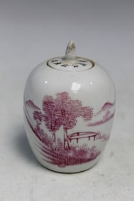 Chinese Porcelain Tea Caddy