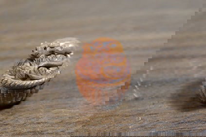 Japanese carved wood netsuke rat