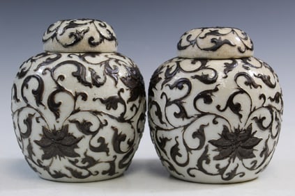 Pair of Chinese Porcelain Ginger Jars