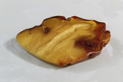 Amber brooch