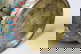 item-209096305=7