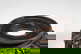 item-209096305=8