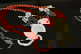 item-209096340=1