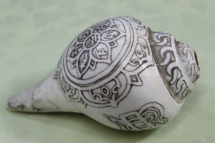 Tibetan Buddhist Conch Shell