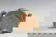 item-209096537=1