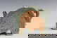 item-209096537=3
