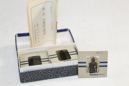 Box of Japanese Art Slides
