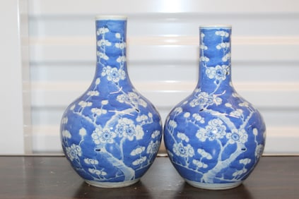 Two Chinese blue and white porcelain vases