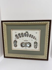 Vintage Japanese cultured pearl growth display