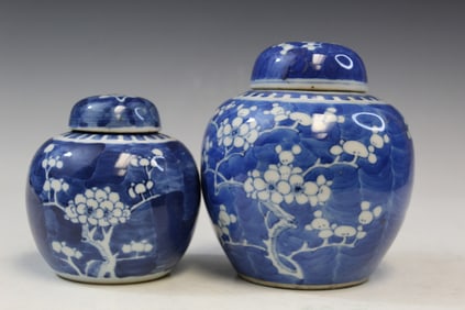 Two Chinese Blue and White Porcelain Jars