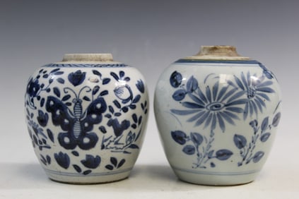 Two Chinese Blue and White Porcelain Jars