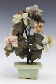 Chinese Jade Bonsai Tree