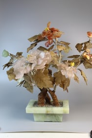 Chinese Jade Bonsai Tree