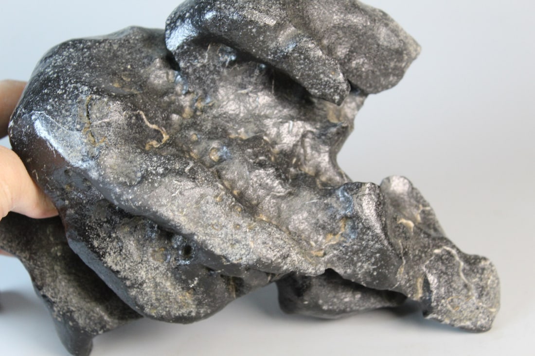 Chinese Black Scholar's Rock - 4