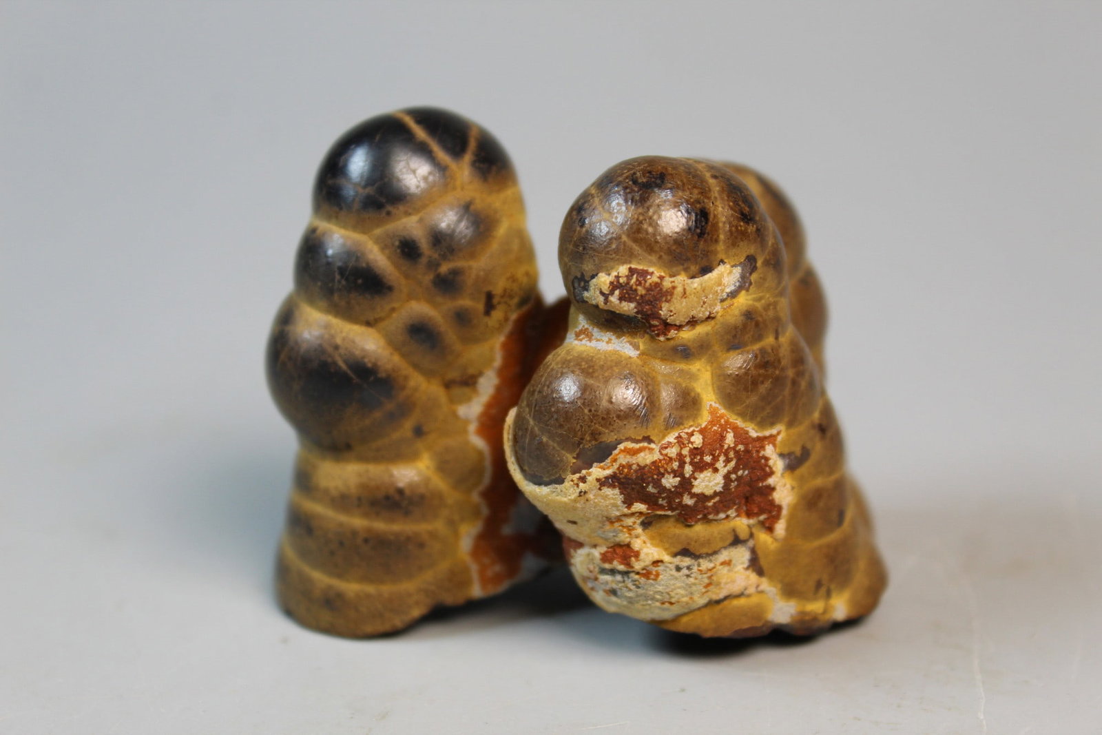 A Rock: A Rock. H 1.75". L 2.25".