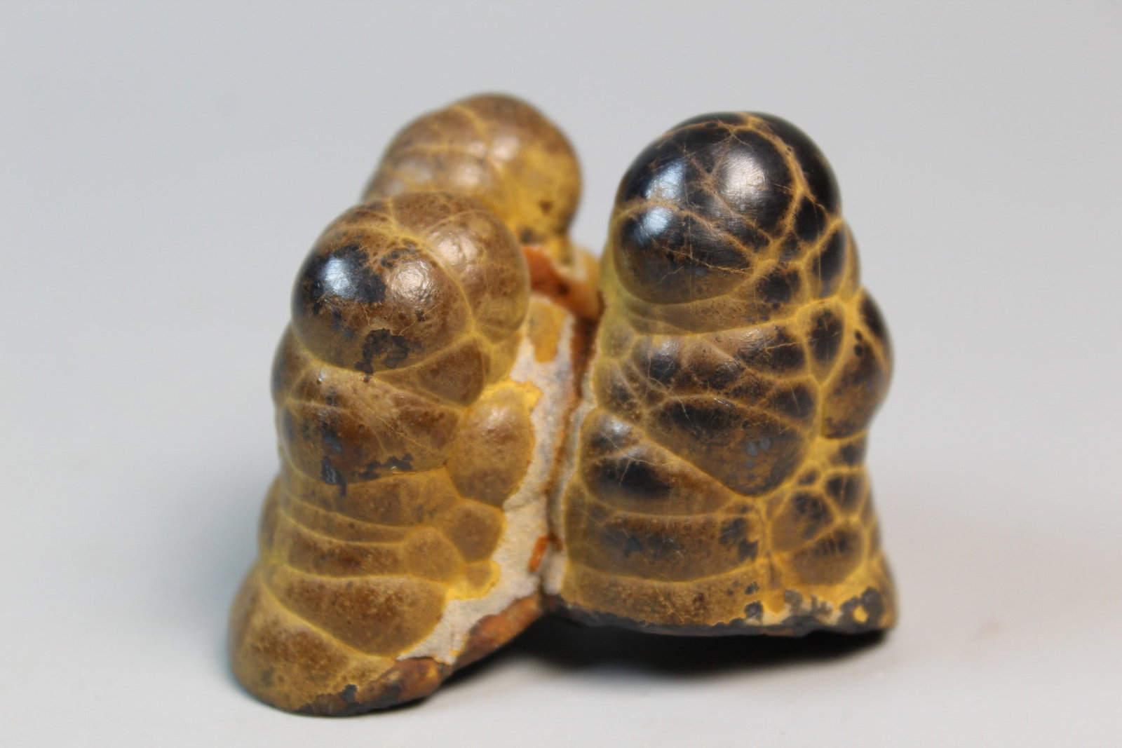 A Rock - 2